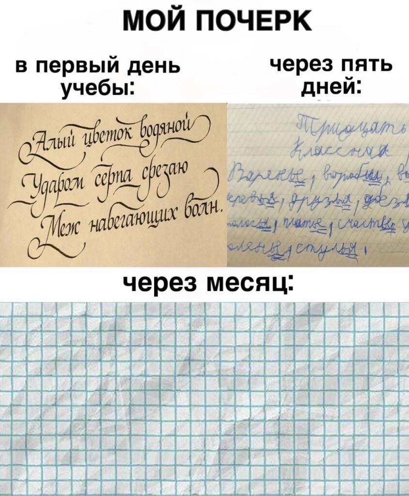 Мем от St_Egor