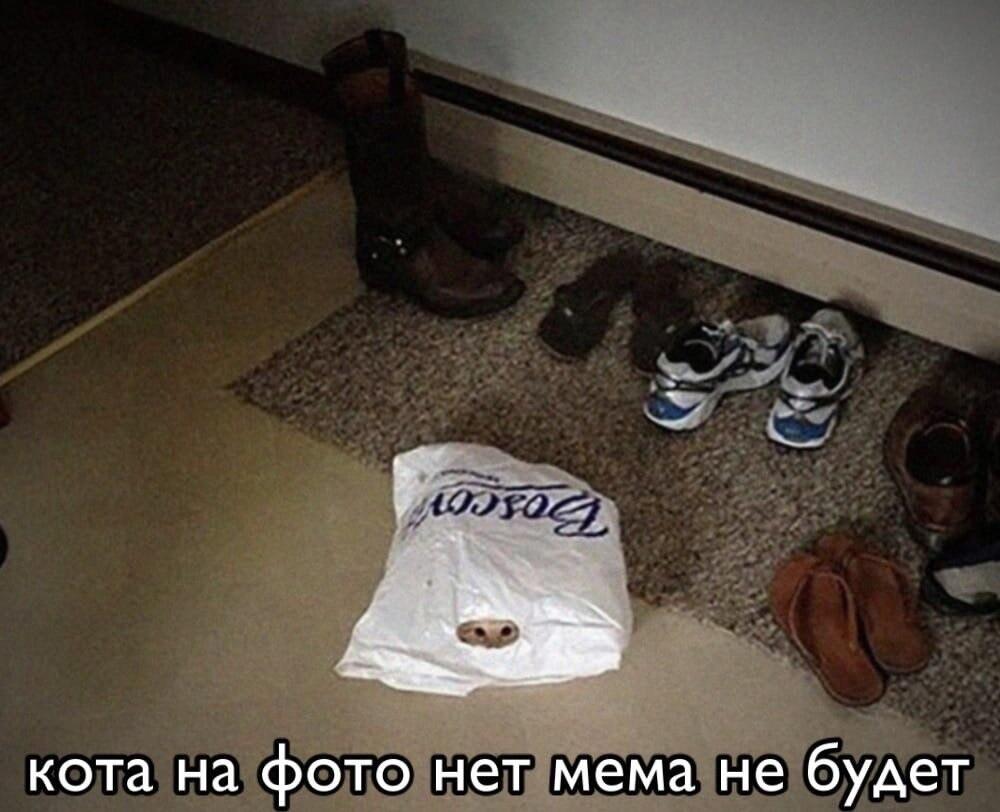 Мем без подписи