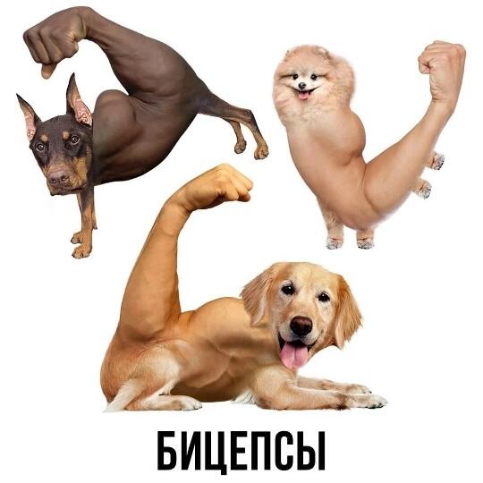 это эти ваши, как их там браин рот