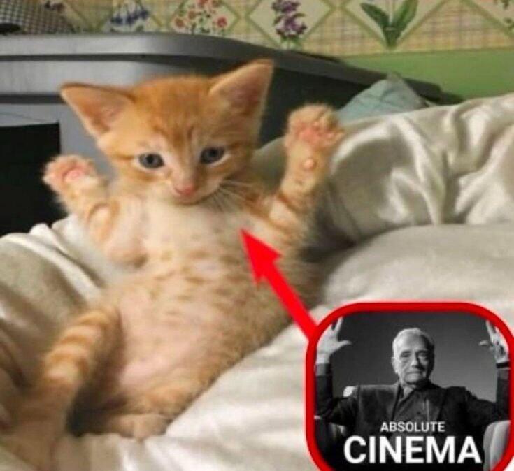 "Звуки тревоги"