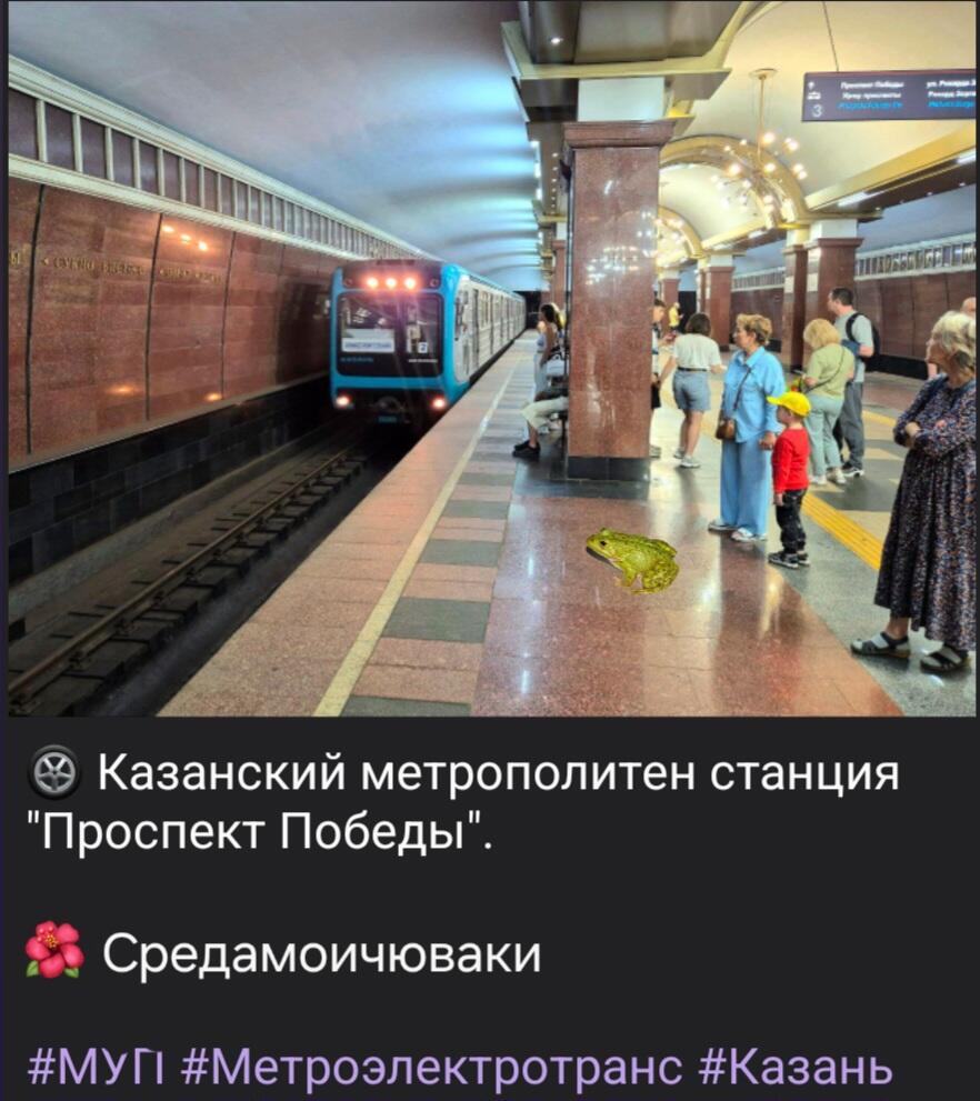 А вы посмотрите — МУП Метроэлектротранс тоже шарит! Всех со средой!