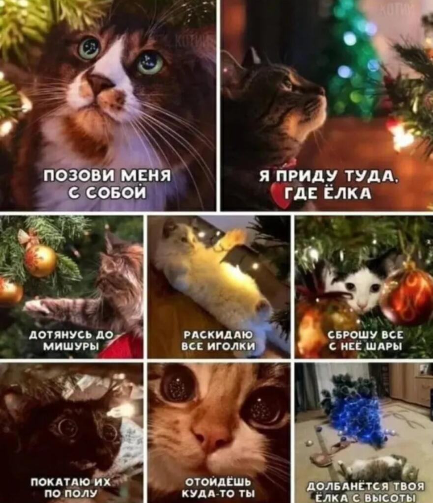 Самые легендарные новогодние мемы, которые все постят каждый чёртов го...