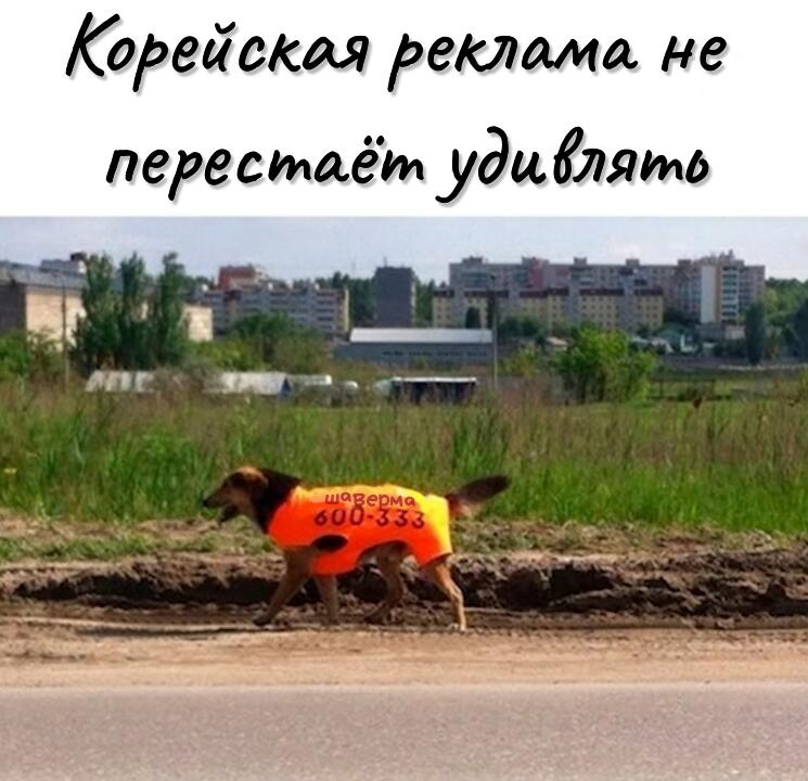 ㅤ