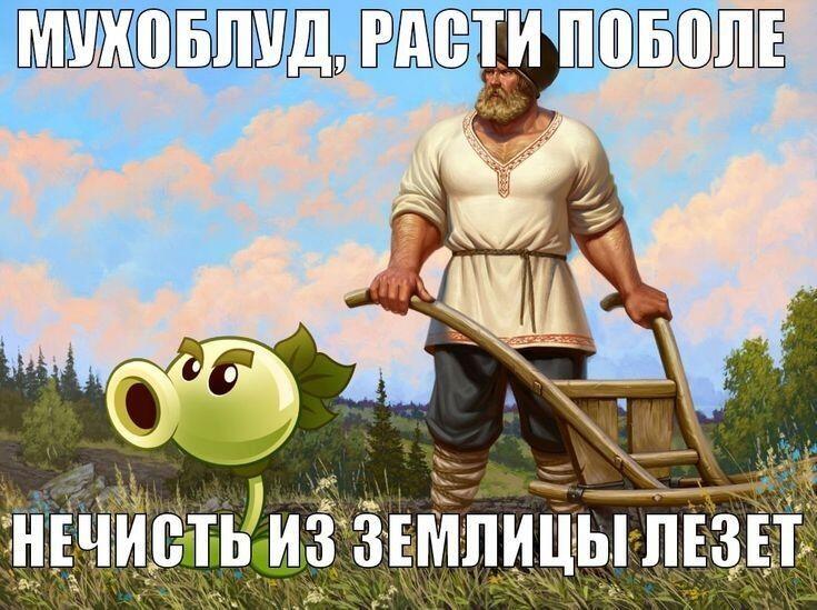 Мем от 🌸💥|цвяточный ад {ПЛМ}