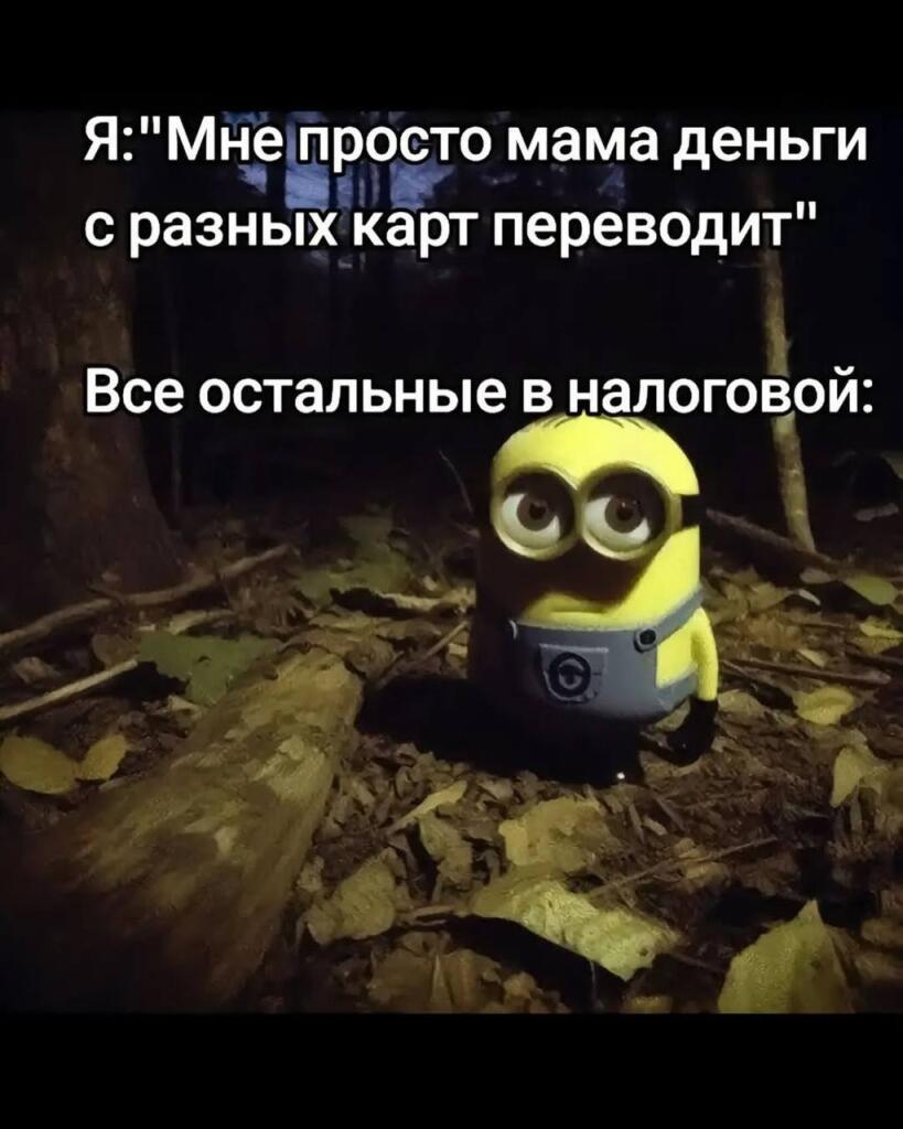 Мем от bobr_