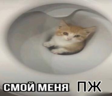 Ну пожалуйста