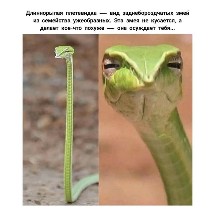 Блин, даже мне стало неприятно