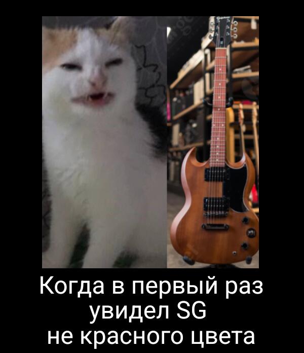 Мем от 𝕺𝖙𝖍𝖊𝖗