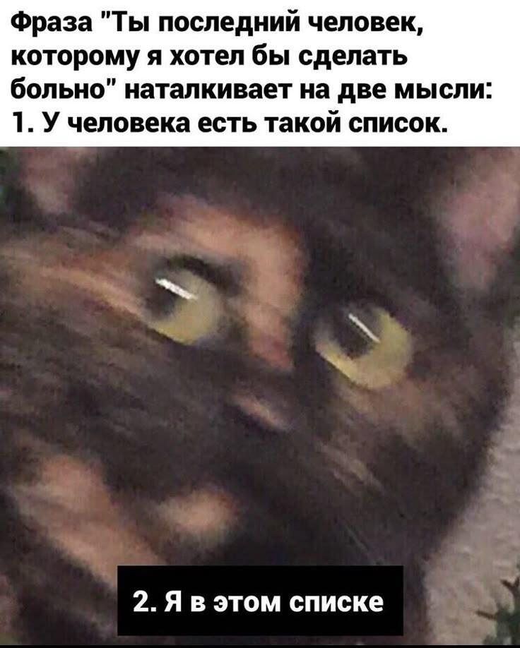 Просто сегодня сидела в Пинтерест. Просто увидела там свою кошку. Просто в меме. Какого фига? О_О