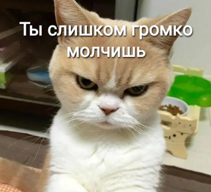 Я: Нахожусь в комнате со спящей сестрой
Мама: