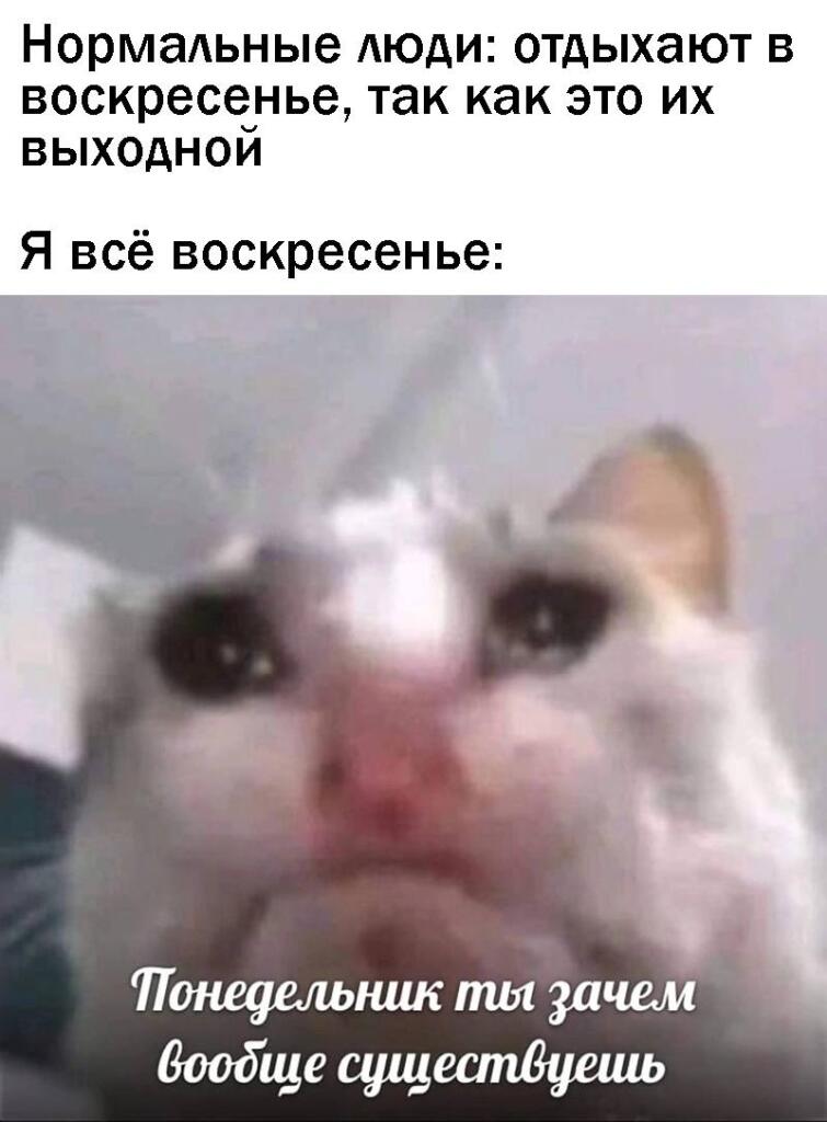 *рыдает*, опять в школу(。ŏ﹏ŏ)