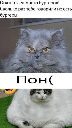 Мем от DaniilDan