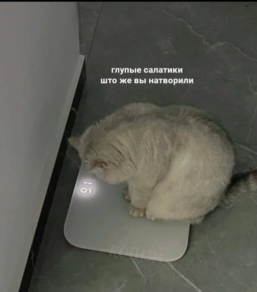 #мем