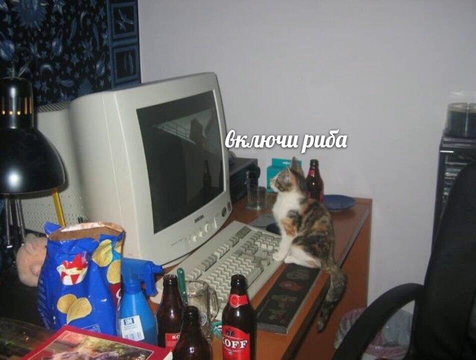 Мем от КотоУт