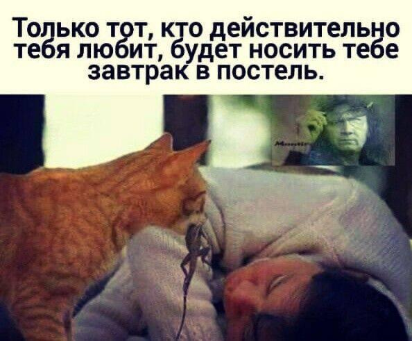 Мем от ГУП "НМТ"