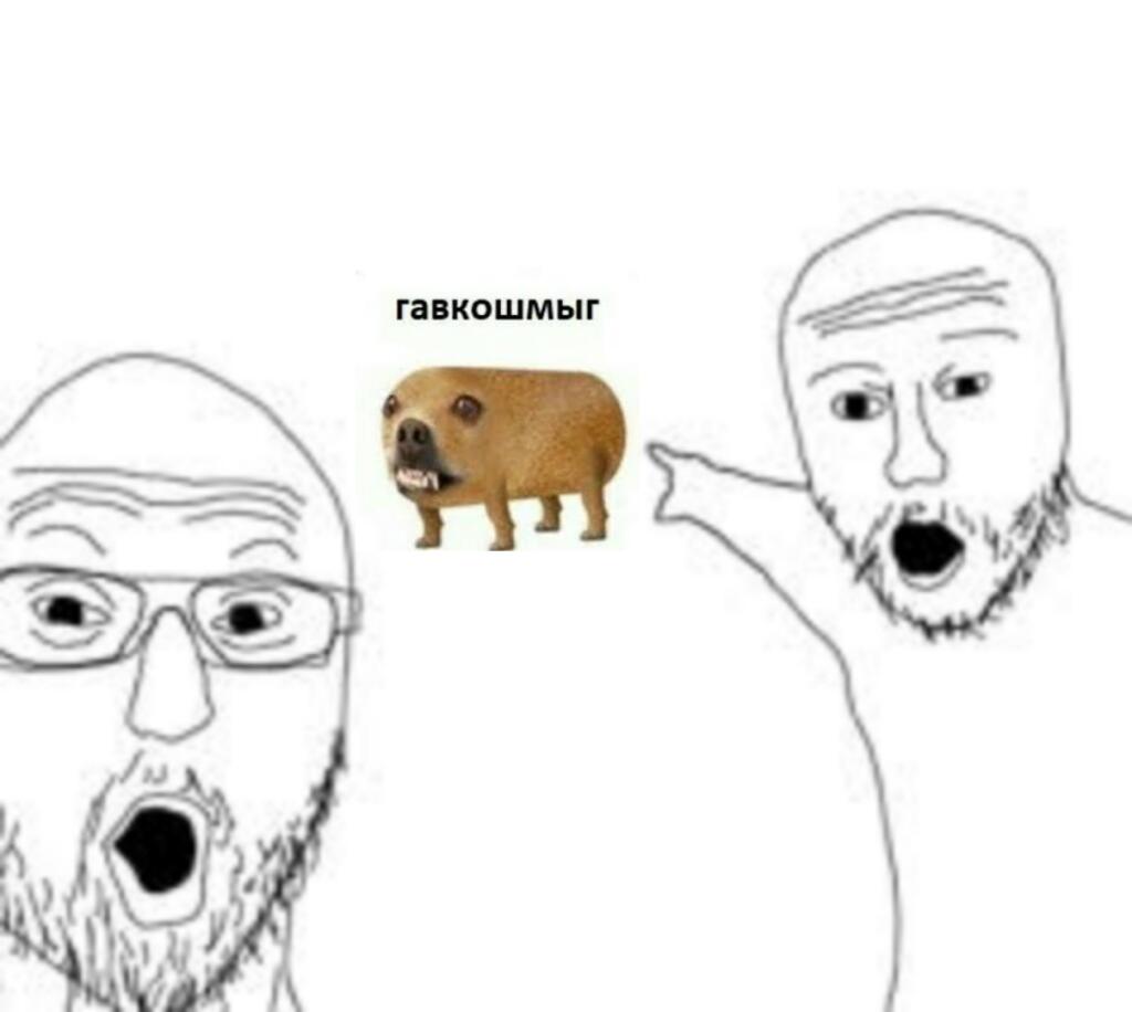 Когда увидел собаку соседа: