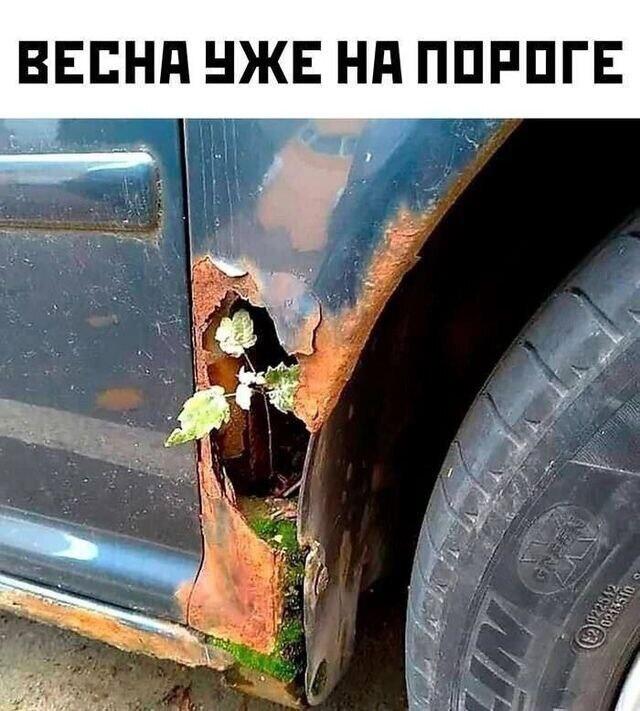 Мем от КотоУт