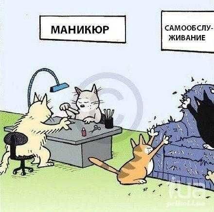 Мем от misfortune official