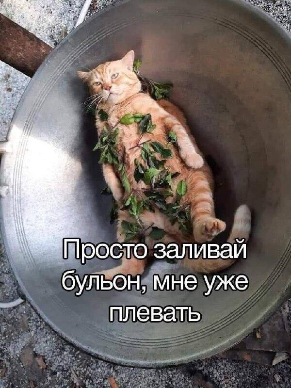 Вот так и живём..