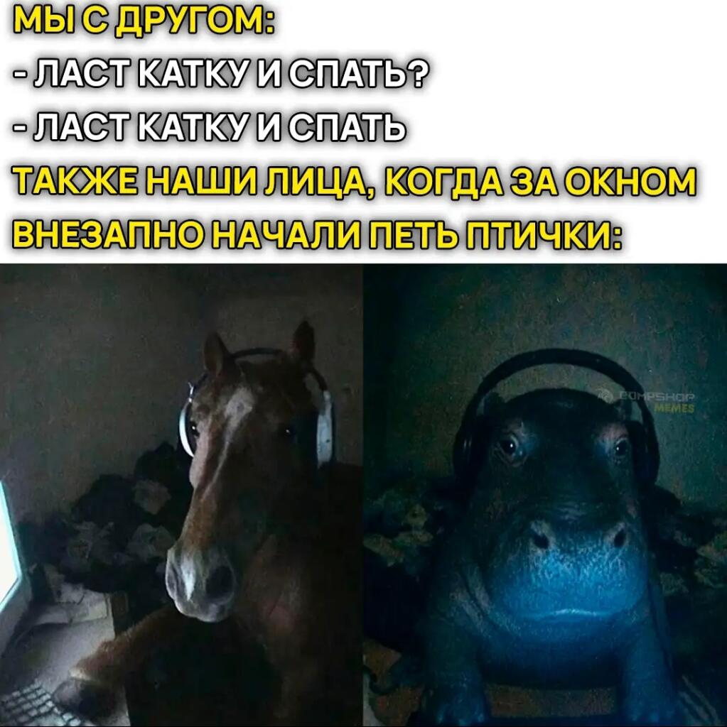 Мем без подписи