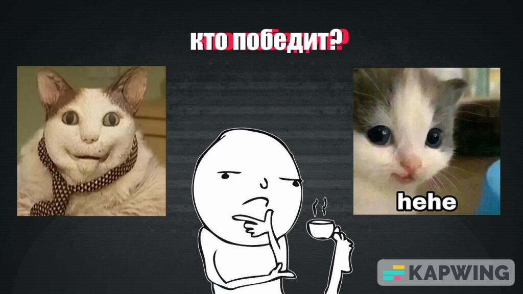 кто победит  бу кот - комент  хе хе кот - лайк