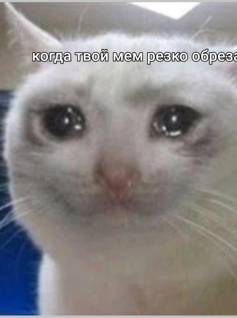 Мем от Doshic_s_krevetkami