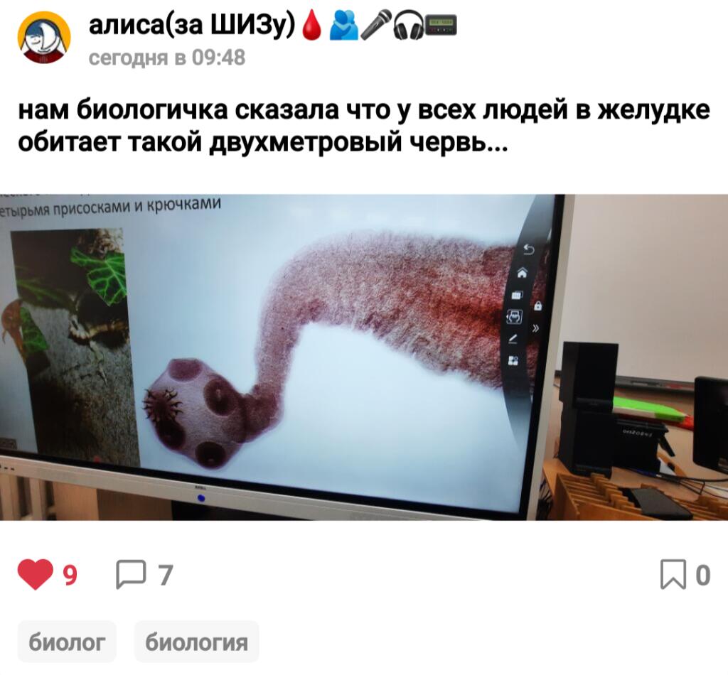 знаете это чувство когда как будто у вас желудок кто-то ест? это червь проголодался и теперь ест вас...