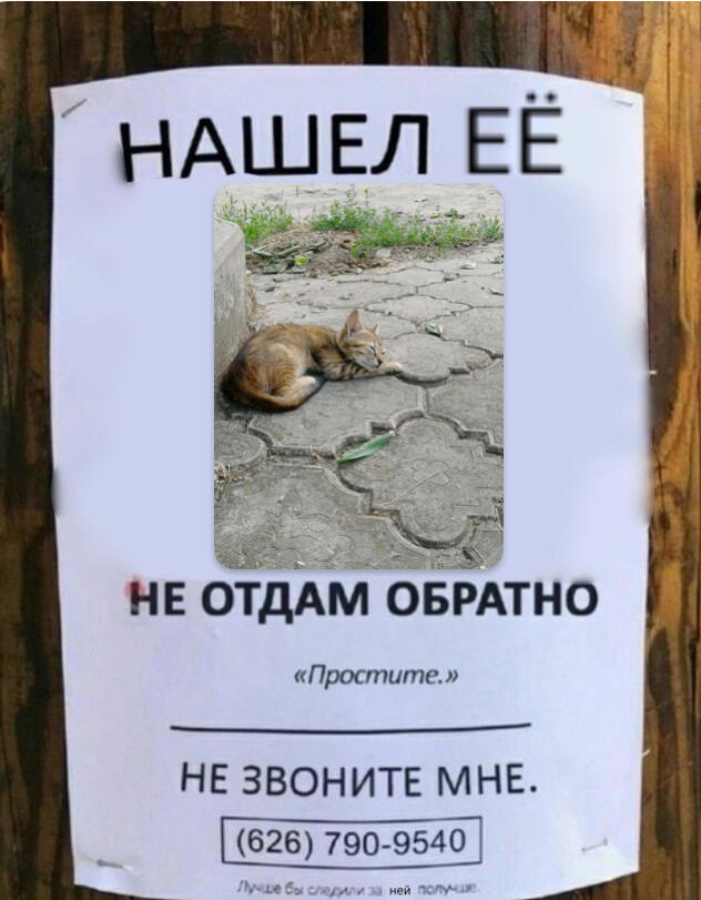 Мемчик