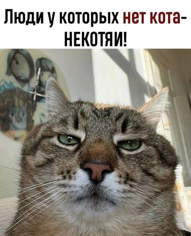 Я некотяй....