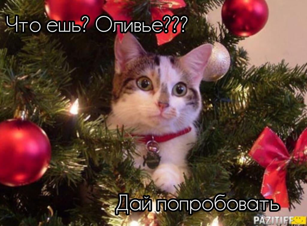 Оливьешка