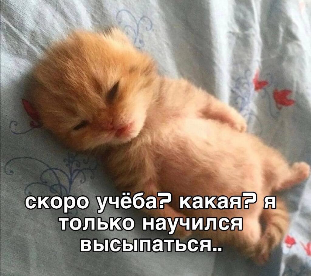 Мем без подписи