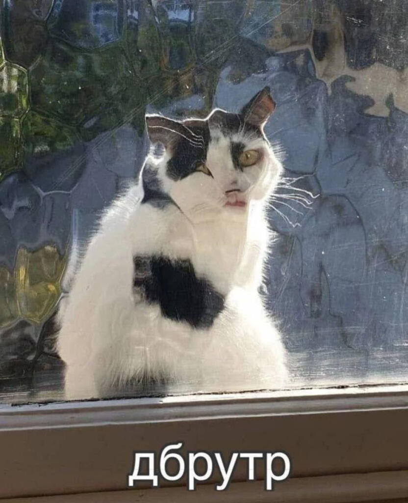 Мем от Батя