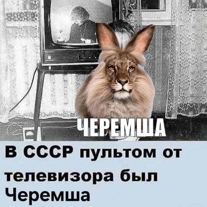 Мем от ГУП "НМТ"