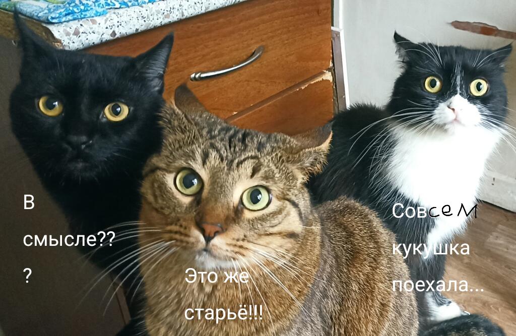 Я: *начинаю играть в undertale и batim*.
Одноклассники: