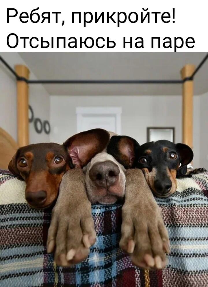 Мем от Lahma