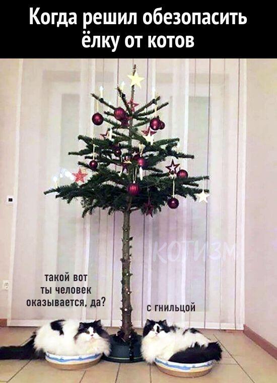 Мем без подписи
