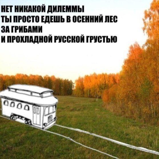 О да...
*взял чашку чая и тёплый плед*
Настало время реальной осени