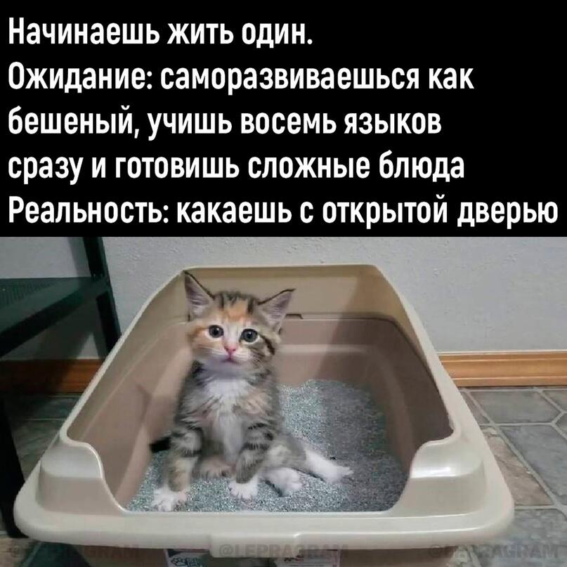 Ьёъ