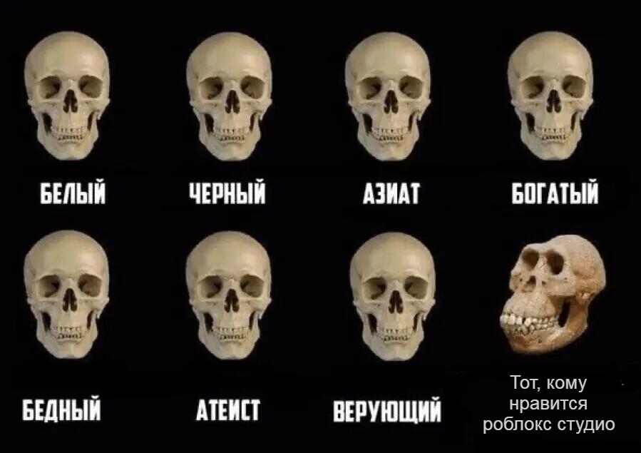 Терпеть не могу роблокс студио