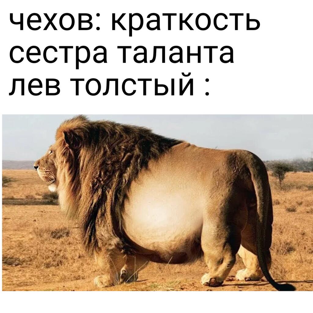 Мем от Очкастый магнит [ПЛМ]