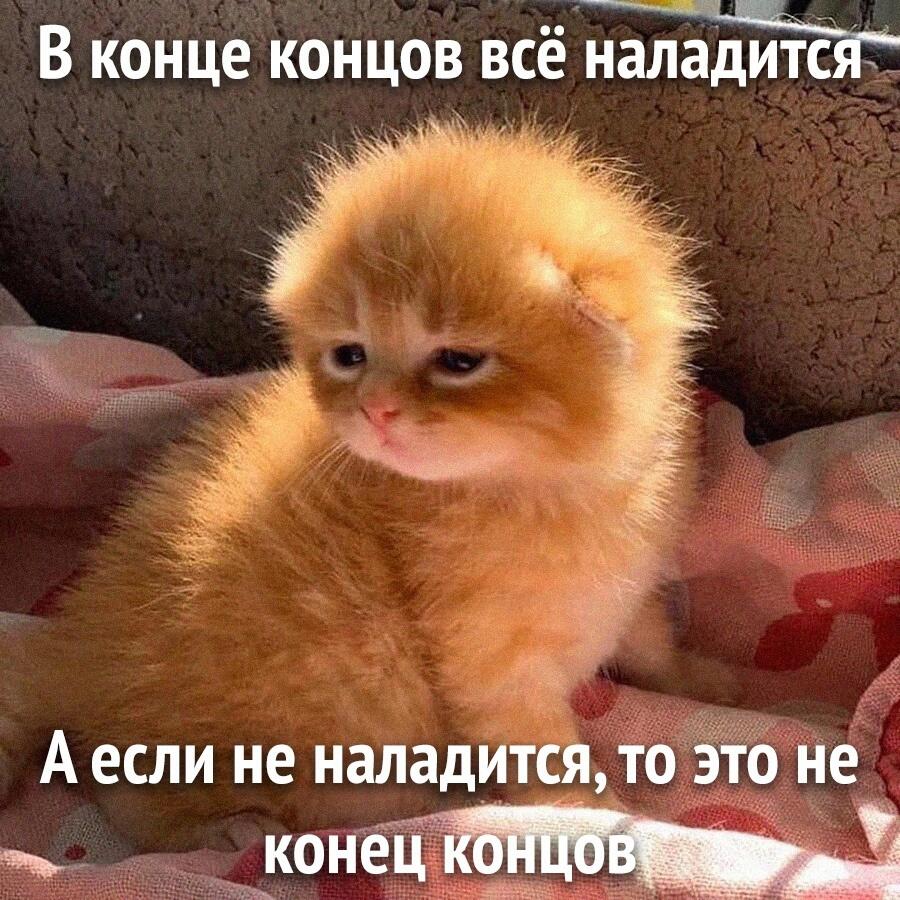 Мем без подписи