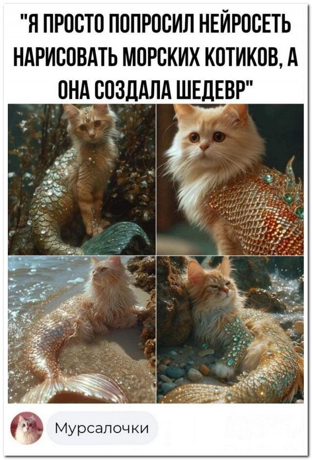 Мем без подписи