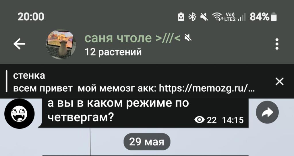 ура! 12 пописчиков в тгк! всем спасибо! теперь буду тгк синхронизировать с мемозгом: со следующего поста)