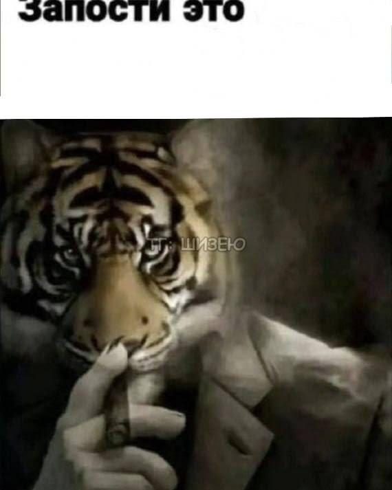 Запостите это