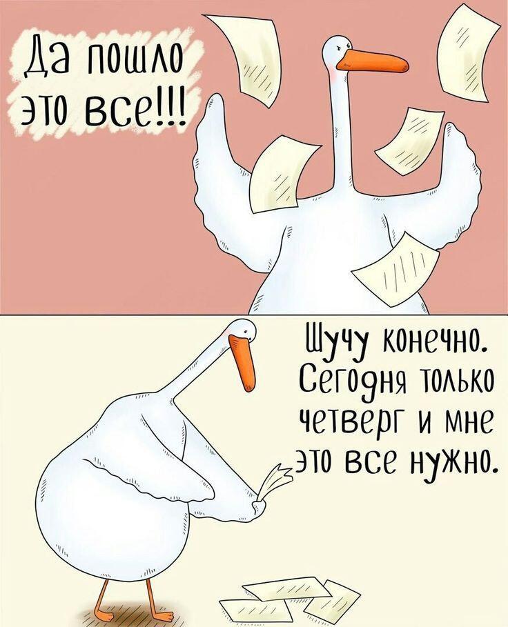 простите меня долго не было я ленивая (ˉ﹃ˉ)