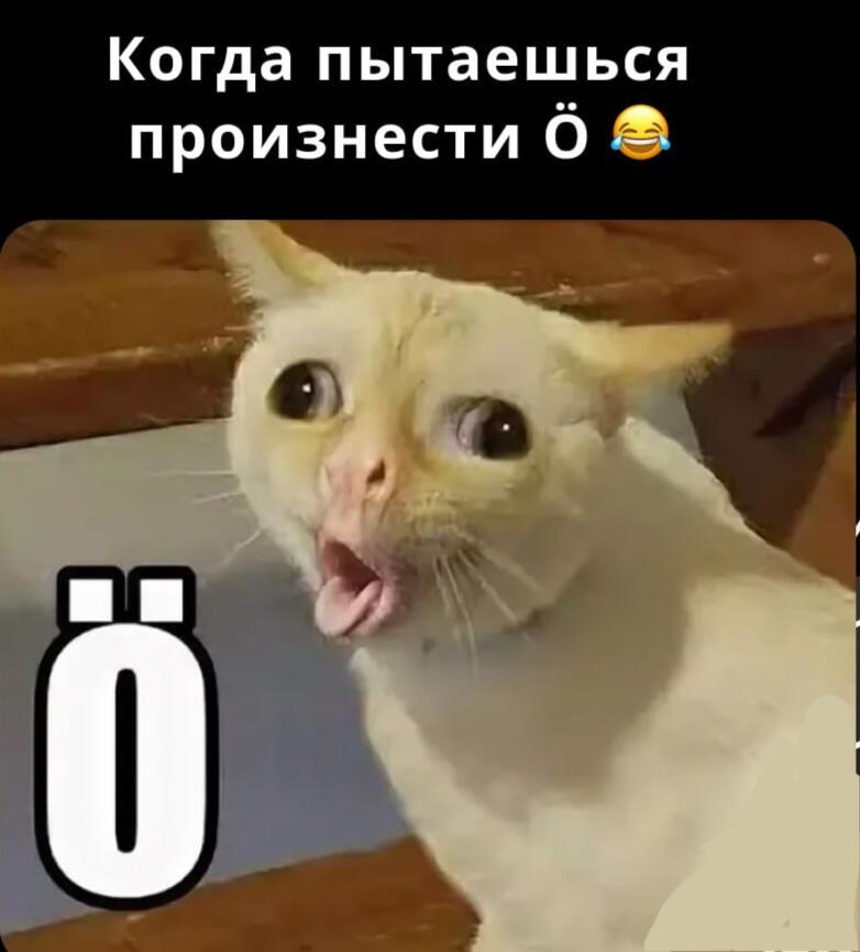 С первым сентября!