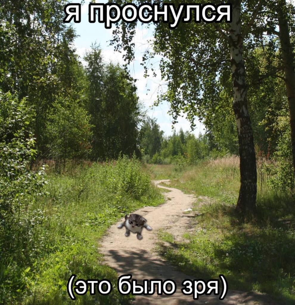 Доброе утро