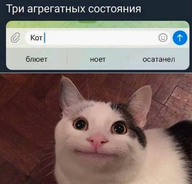 ну вот такое бывает