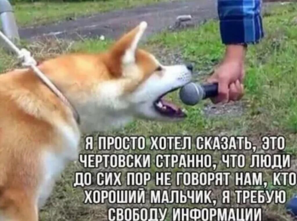 Хороший мальчик просто хочет свободу