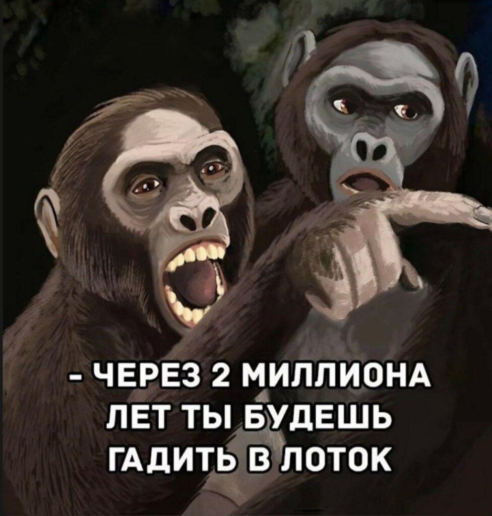 Доисторическая мем с котом